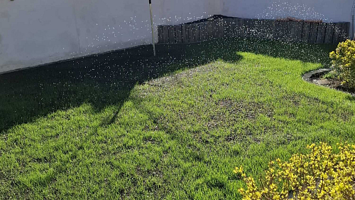 Vzrůst nové trávy