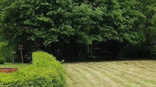 Zahrada posekaná Profi rotační sekačkou 18,5 HP