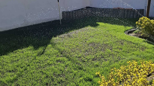 Růst nového trávníku