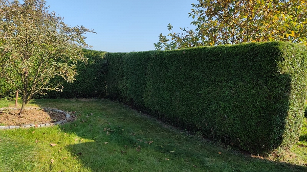 Naše služba ,,Hodinový zahradník,, - zahrada podle Vašich přání