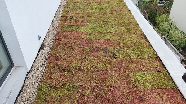 Realizace extenzivních zelených střech