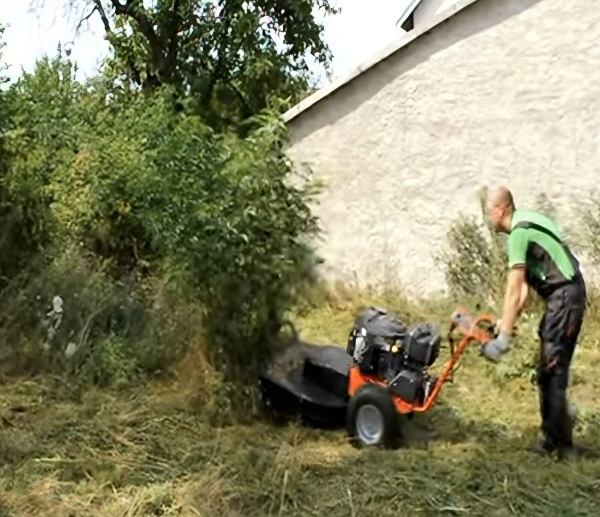 Likvidace náletových dřevin