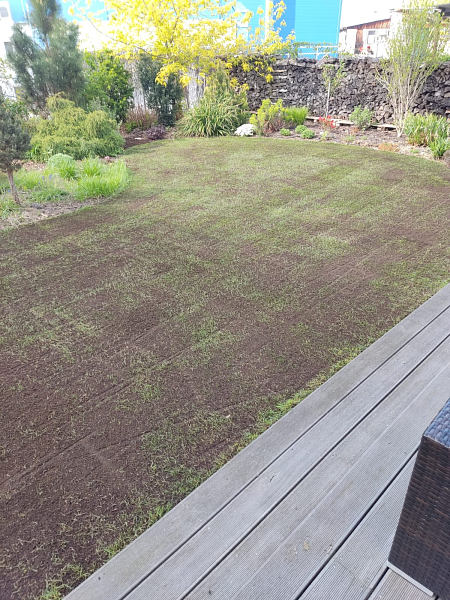 Regenerace trávníků