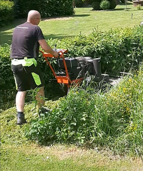 Péče o zarostlé pozemky